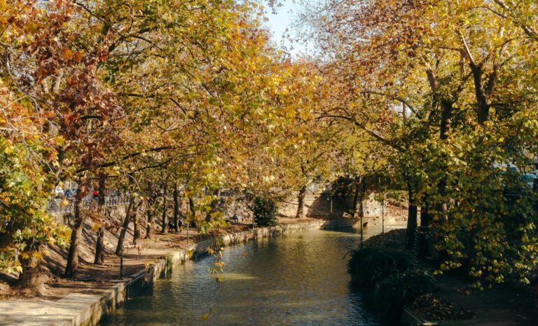 Περίπατος στον Ληθαίο για την Ημέρα Χωρίς Αυτοκίνητο