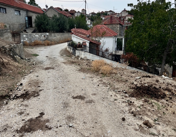 A dirt road with red roofs

Description automatically generated