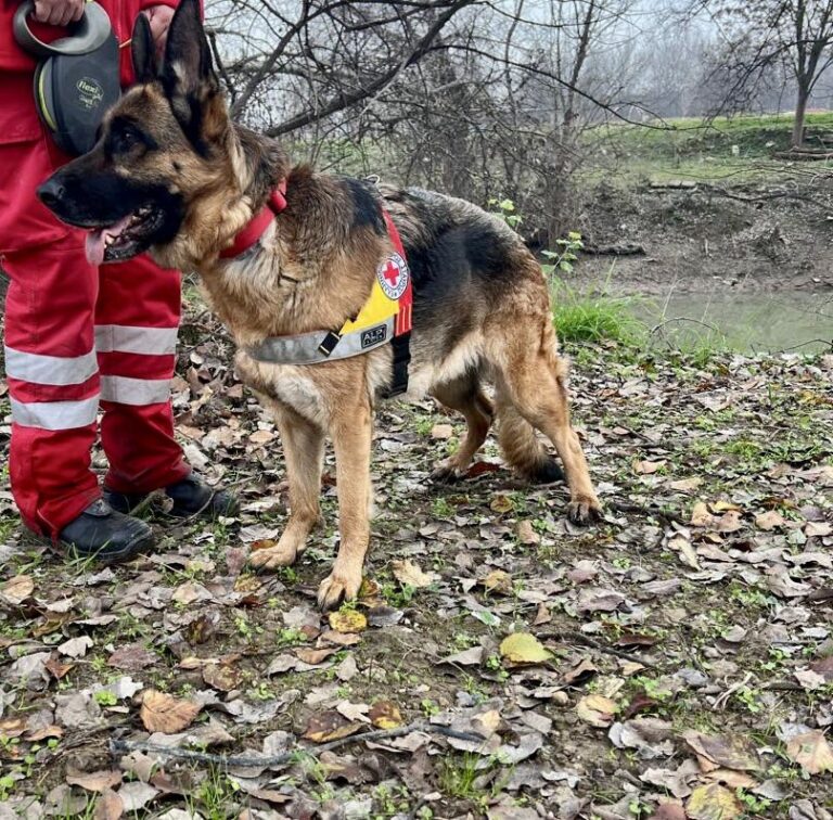 Με διασωστικά σκυλιά και ρομπότ σόναρ ο Ερυθρός Σταυρός στις έρευνες για τον 39χρονο στη Λάρισα